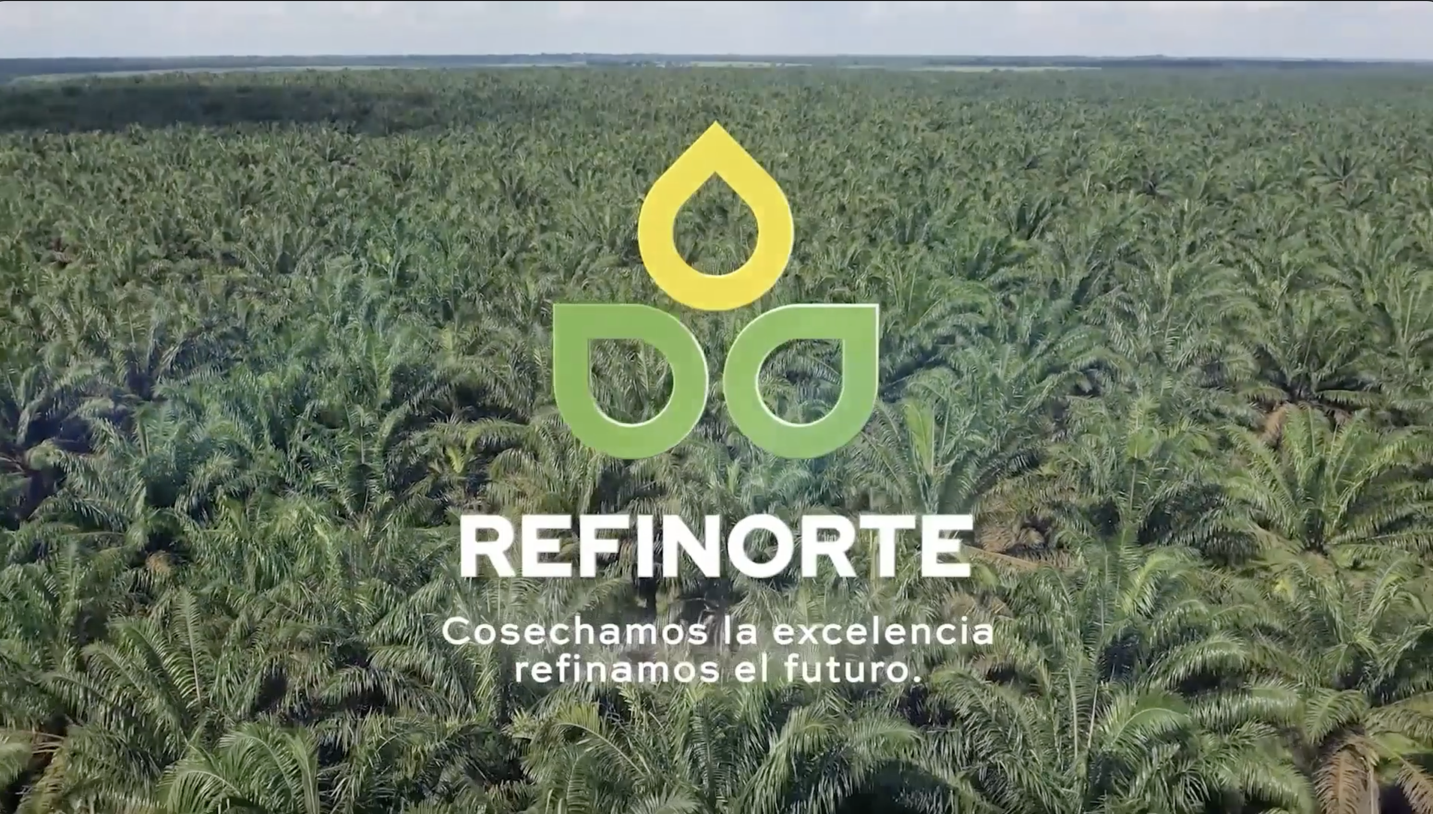 video image